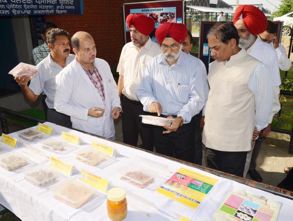 Dr. A. S. Nanda, Vice Chancellor and other officers brief the exhibit stall  to Dr. Trilochan Mohapatra, DG, ICAR on the visit of University on dated 8-10-2018